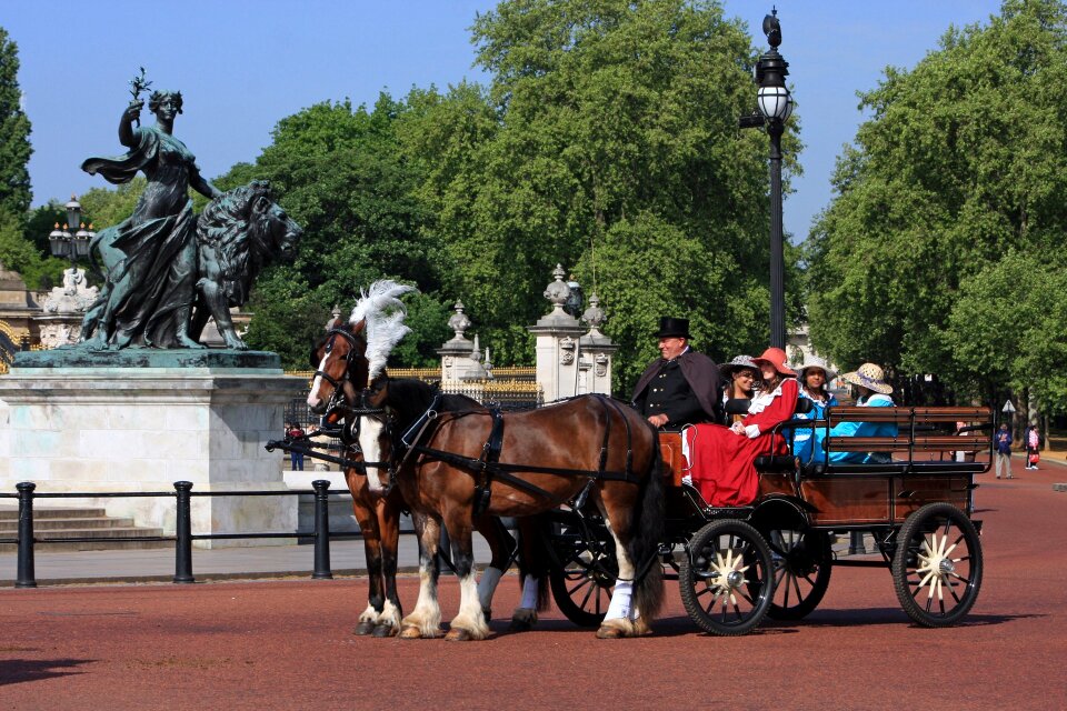 Horses london england
