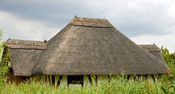 Thatched roof close-up photo
