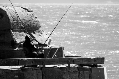 Fish fishing sea