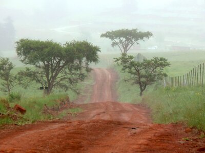 Veldt mist south africa photo