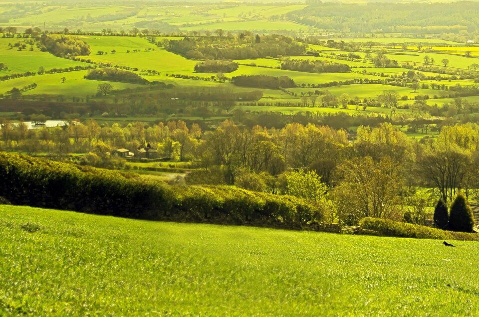Summer england north yorkshire