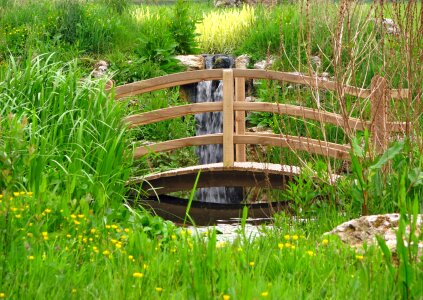 Pond water ornamental