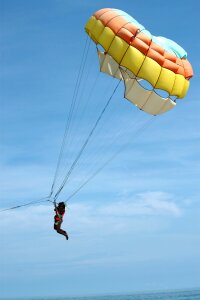 Fly bird's eye view paragliding photo