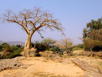 Namibia namibian desert dirt photo