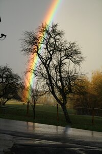 Rainbow road landscape