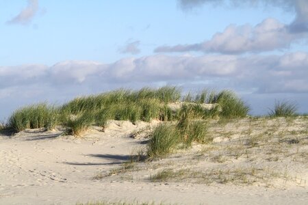 Beach dunes north sea