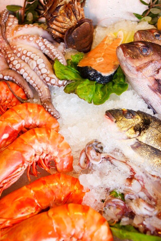 Sea fresh fish