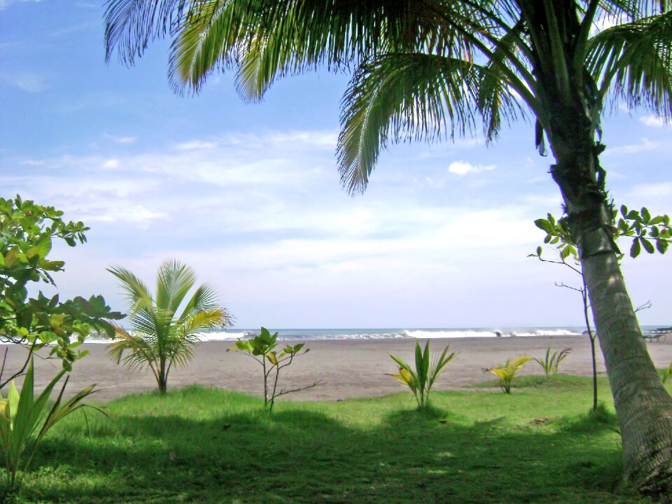 Almond beach costa