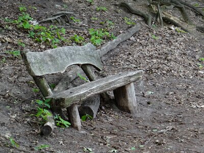 Nature loneliness silent photo