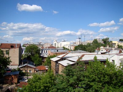 Top trees sky photo