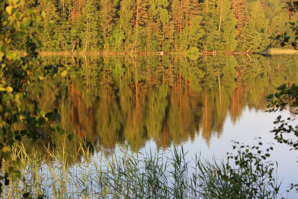 Lake daybreak landscape