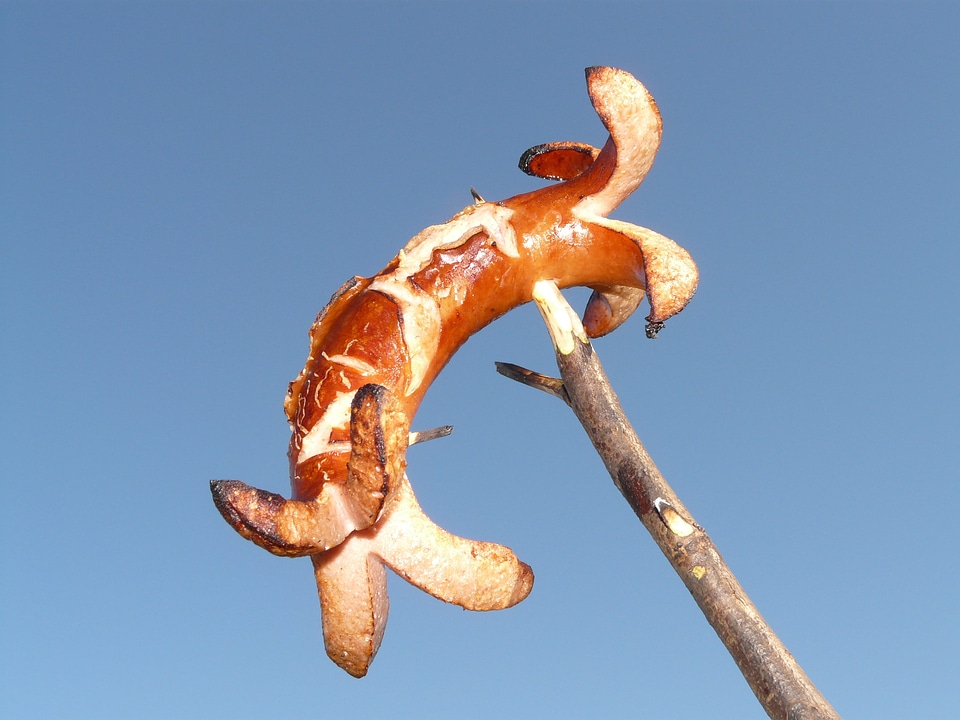 Red sausage barbecue sizzle