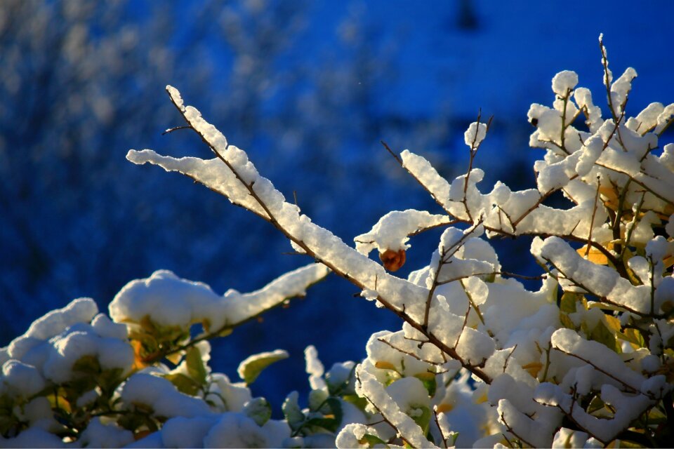Winter ice cold