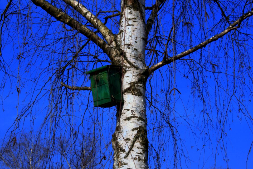 Bird feeder sky blue
