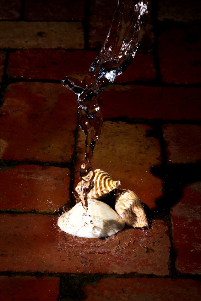 Splash bricks brick