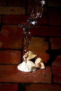 Splash bricks brick