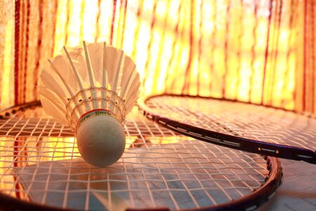 Sports racquet photo