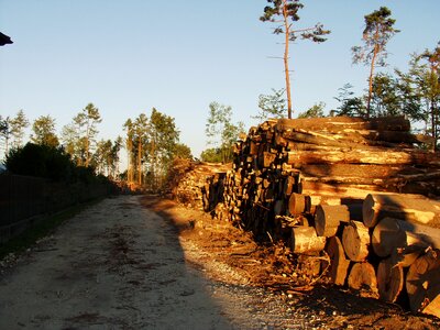 Lumber timber holzstapel
