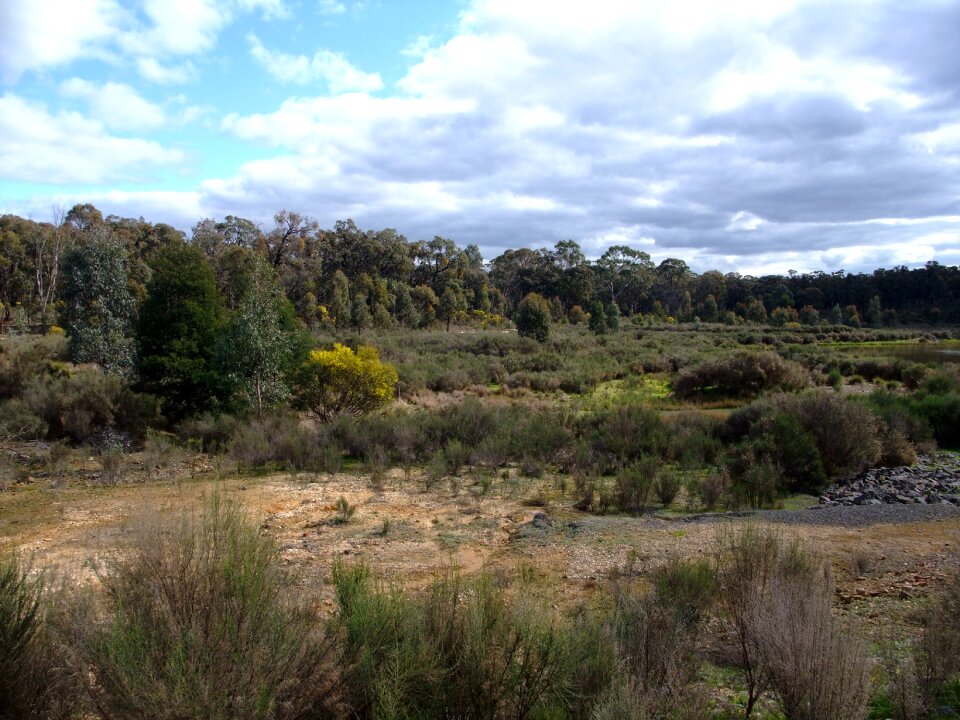 Nature lovely outside