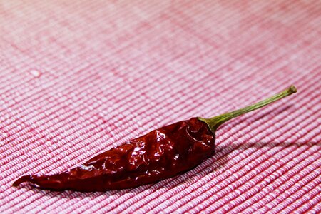 Red fiery chili peppers photo