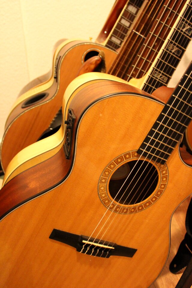 Guitar collection instrument acoustic