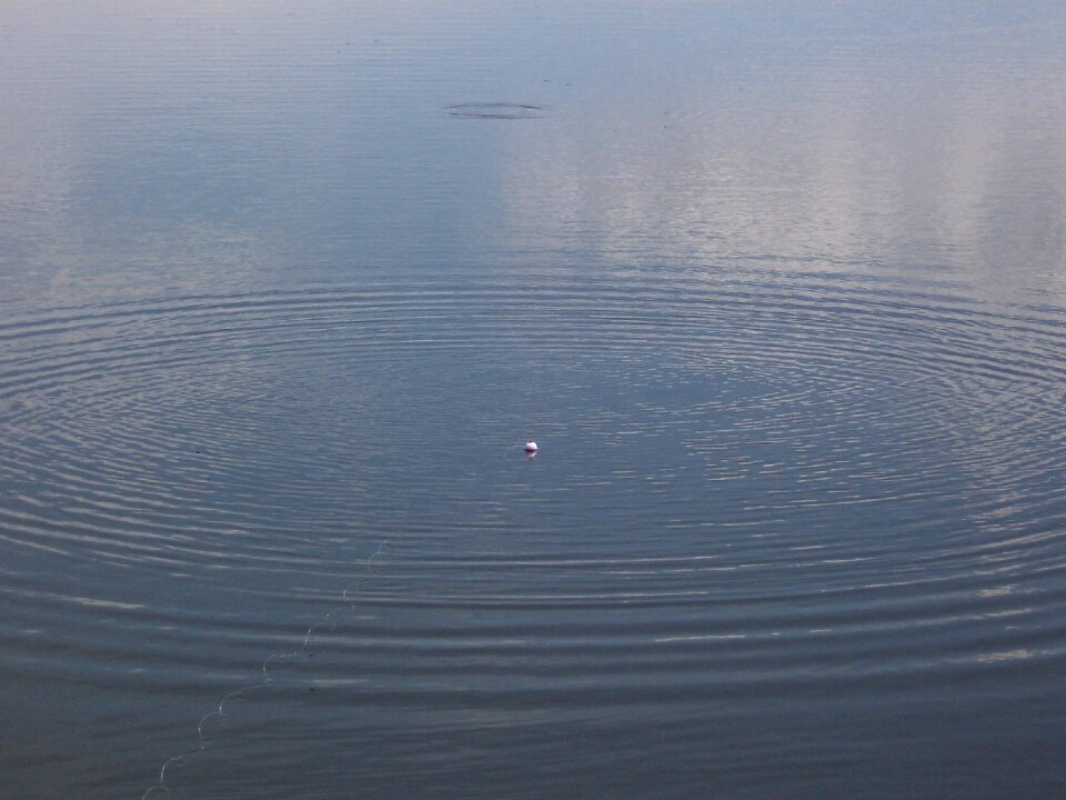 Lake splash ripples