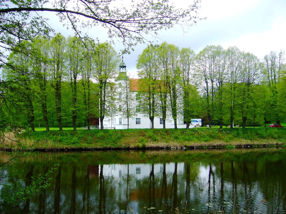 Trees water historical