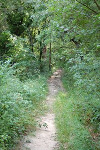 Path nature promenade
