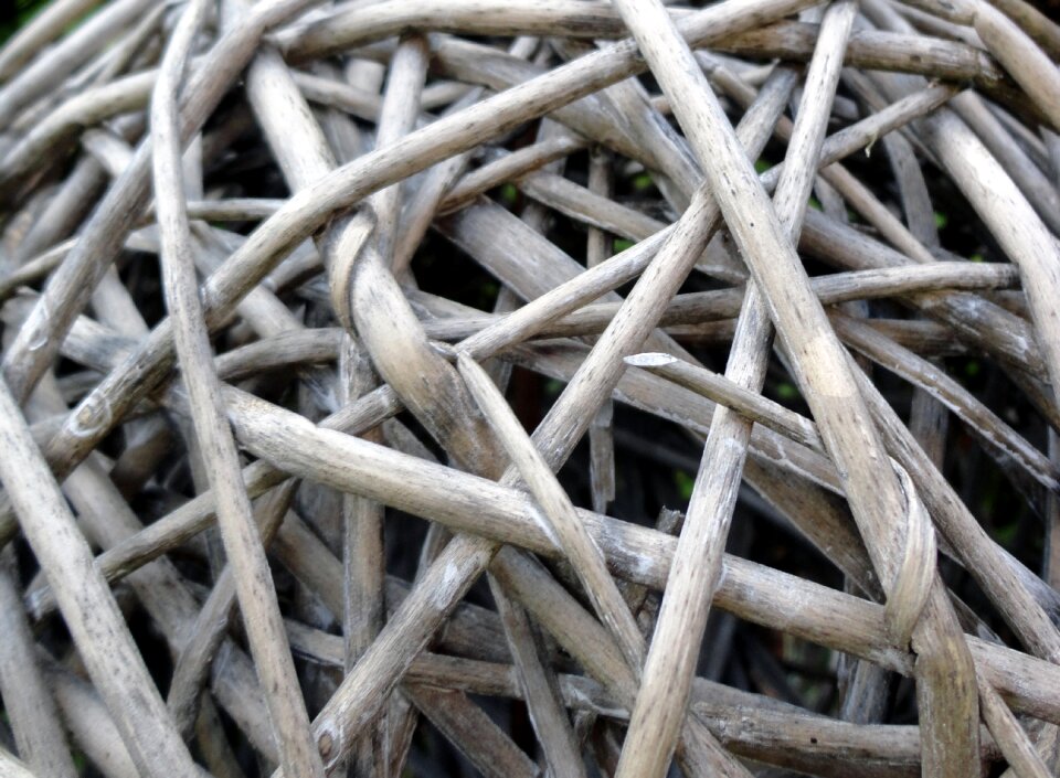 Branches aesthetic ball
