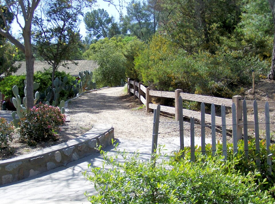 Trail country countryside