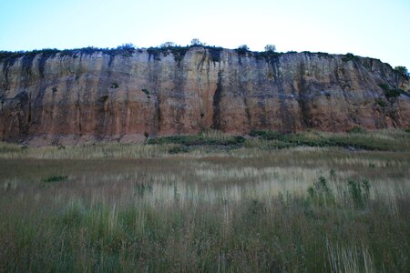 Africa grasses earthy colors photo