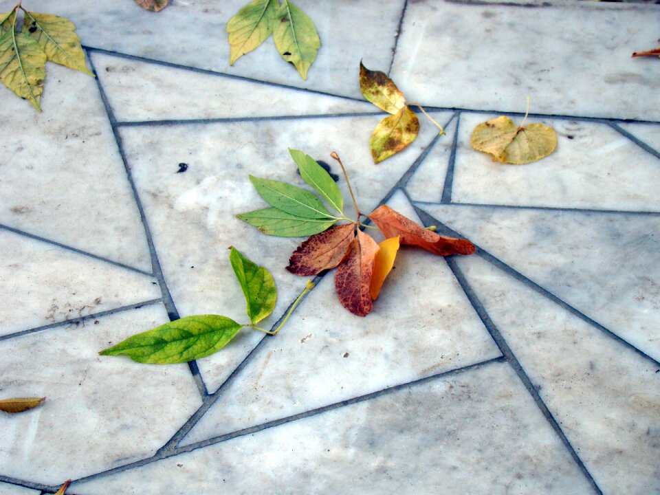 Pavement marble slabs pattern