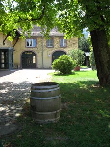 Hof wine barrel building