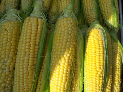 Food crop nature