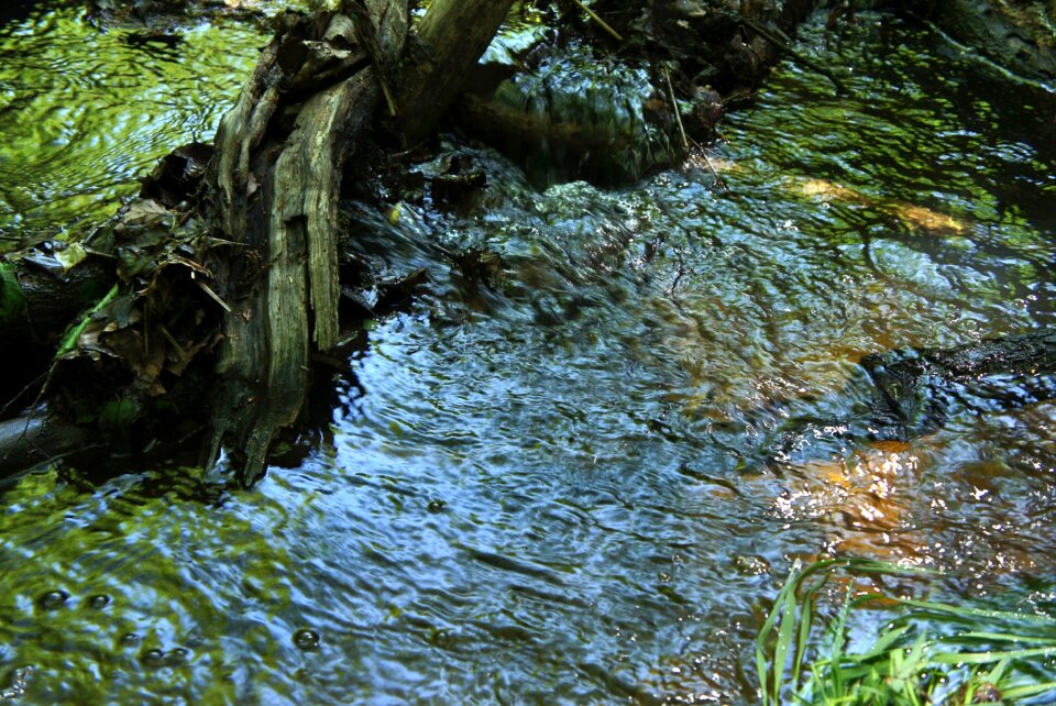 Flowing forest green