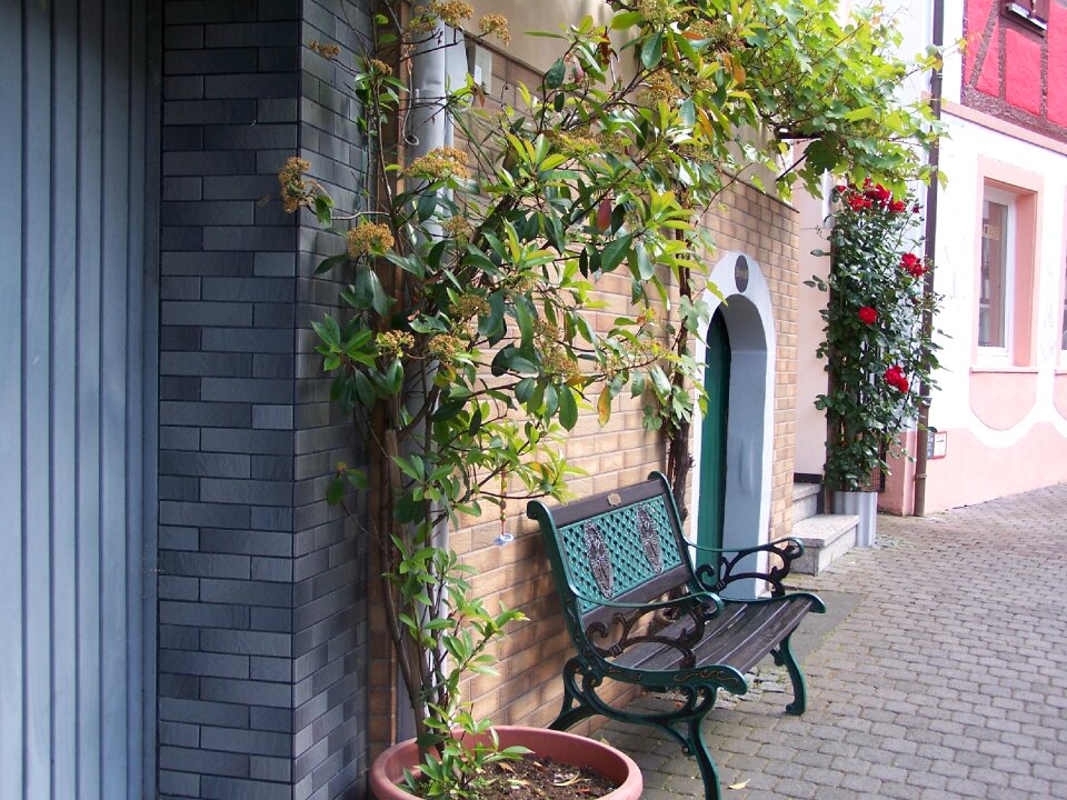 Cozy town flower vine