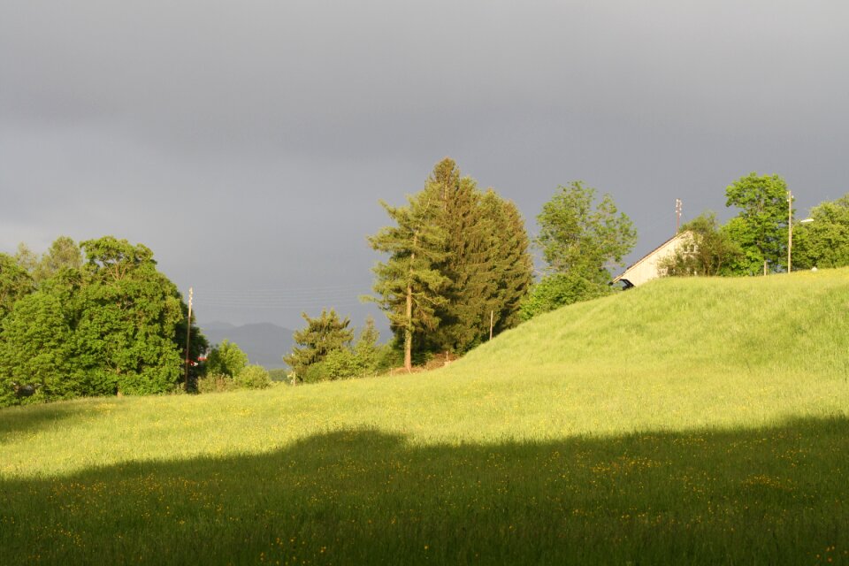 Sun pasture clouds