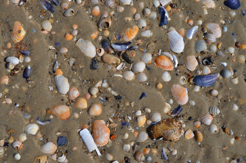 Sand water ocean
