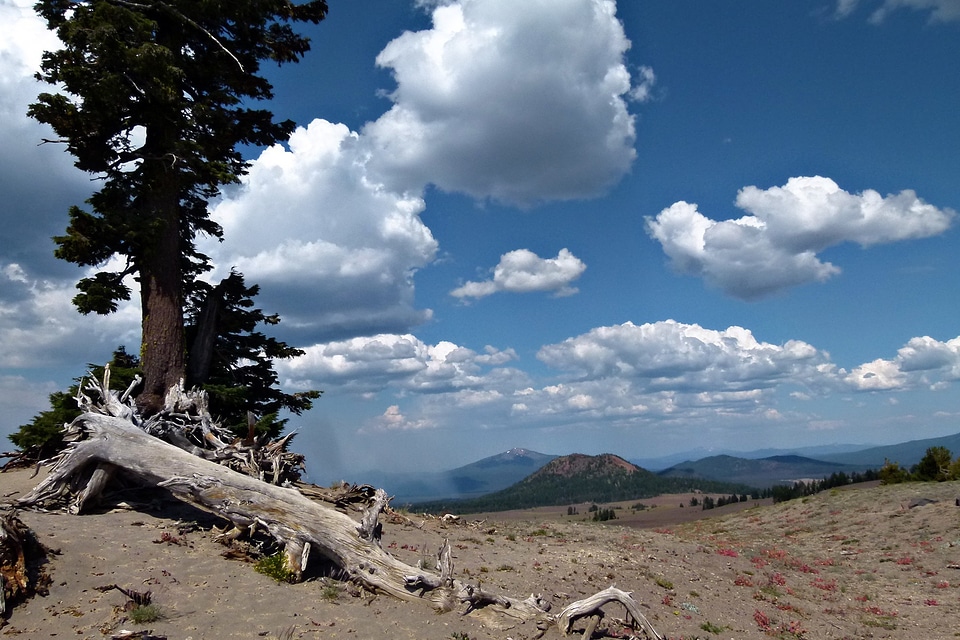 Landscape roots clouds
