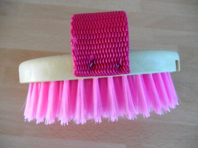 Clean horse curry pink