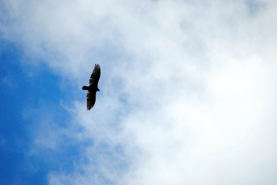Blue sky calm outside
