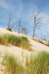 Sand dune the baltic sea photo