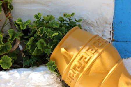 Flowerpot concerning ceramic goods photo