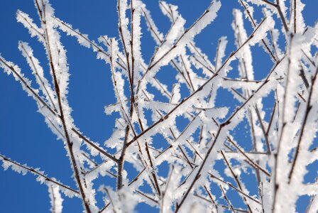 Winter hard rime frost photo