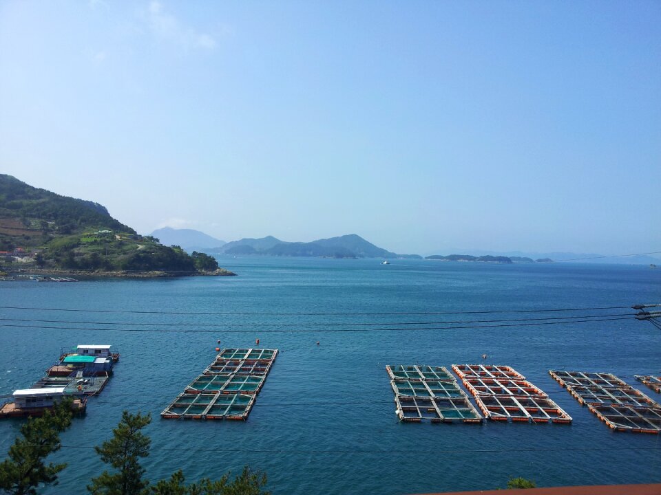 Sea fishery landscape