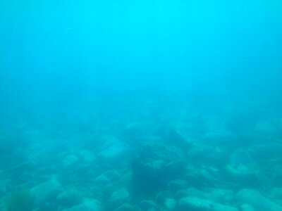Divers sea swimming