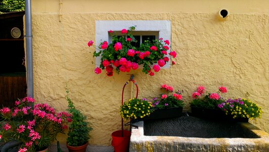 Trough floral decorations farmhouse