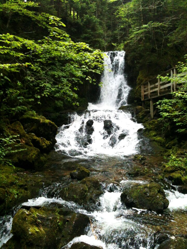 Leaves moss waterfall photo