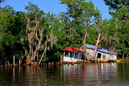 Swamp hurricane destroyed