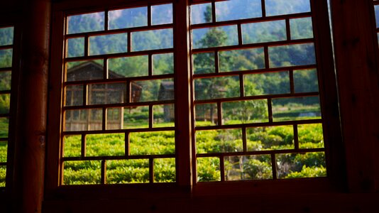 Tea house window green